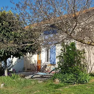 Petite Maison Refaite à Neuf Dans Mas Du 19ème Siècle Hébergement de vacances