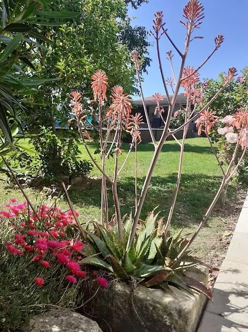 Maison Climatisee Avec Piscine Entre Alpilles Et Camargue Arles Holiday home